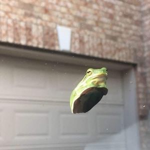 Meet your Posher, Elijah